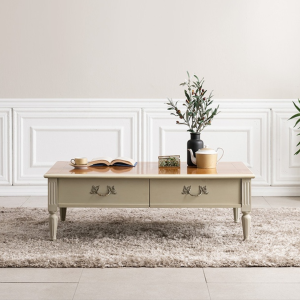 patricia coffee table fn 053